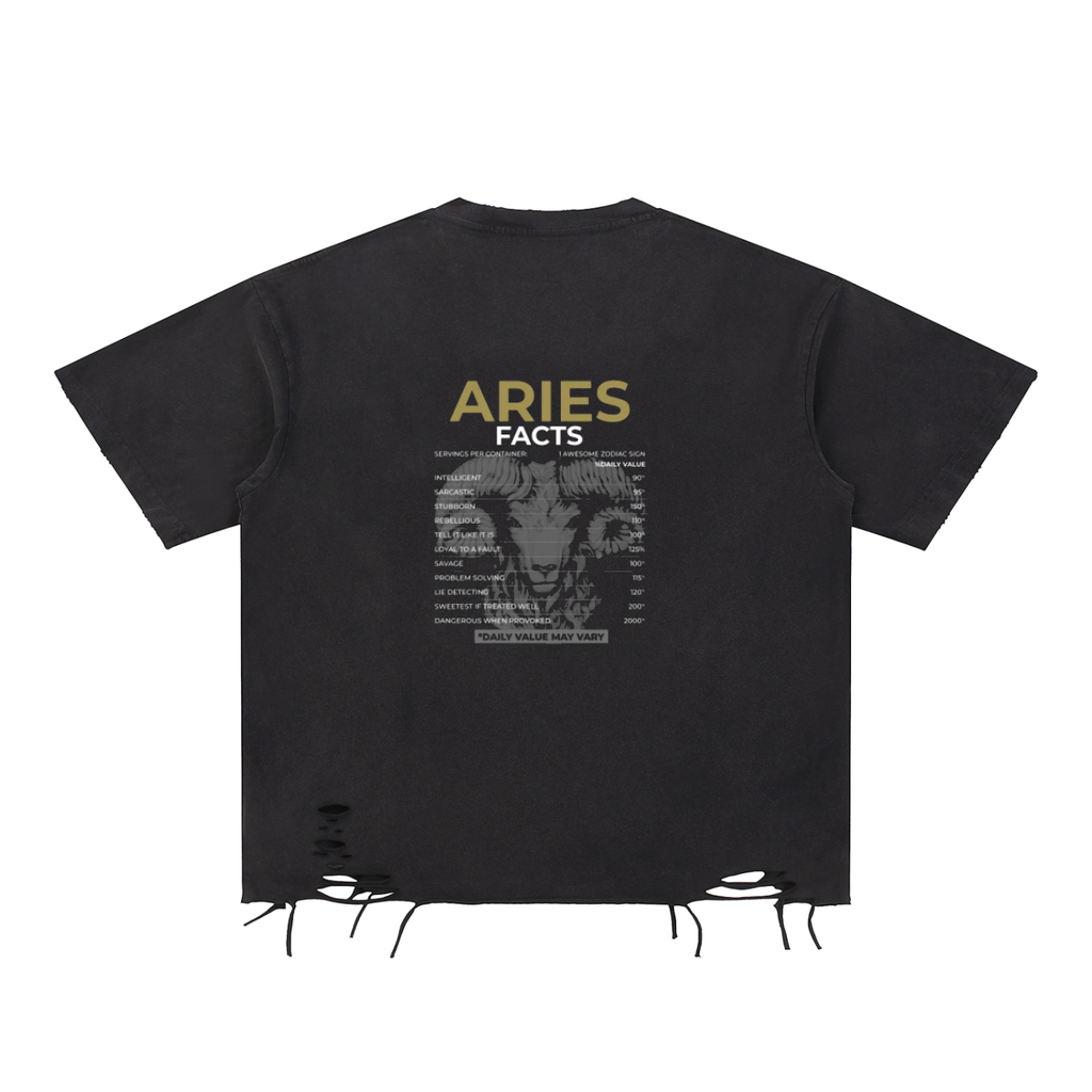 CRASHIN ARIES TEE